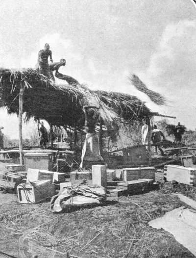 Natives Building a Rest-House, from an article entitled To the Mountains of the Moon published in The Graphic October 27th 1906 by English Photographer